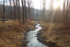 Isaac Hale Property
