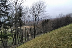 The Hill Cumorah  - looking down west slope