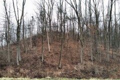 Miner's Hill - looking at north side