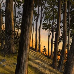 The Glass Looker Collection